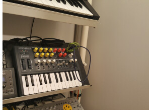 Arturia MiniBrute (15745)