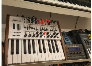 Arturia MiniBrute (21011)