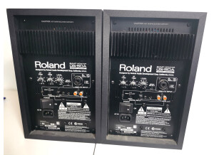 Roland DS-50A