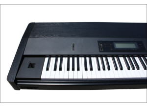 Korg T1 (6692)