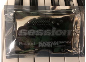 Roland SR-JV80-09 Session