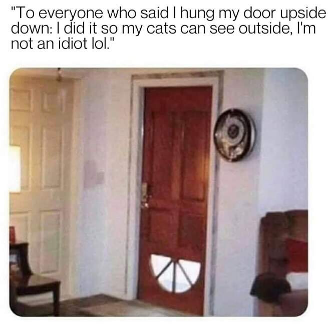 5695256.jpg 5695256.jpg