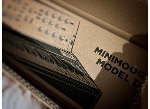Moog Music Minimoog Model D (2022) (27791)