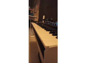 Ashun Sound Machines Hydrasynth Keyboard (59340)