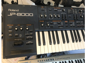 Roland JP-8000 (90387)