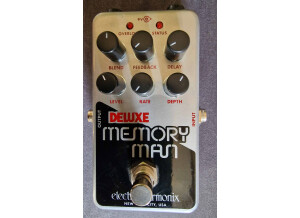 Electro-Harmonix Nano Deluxe Memory Man (96043)