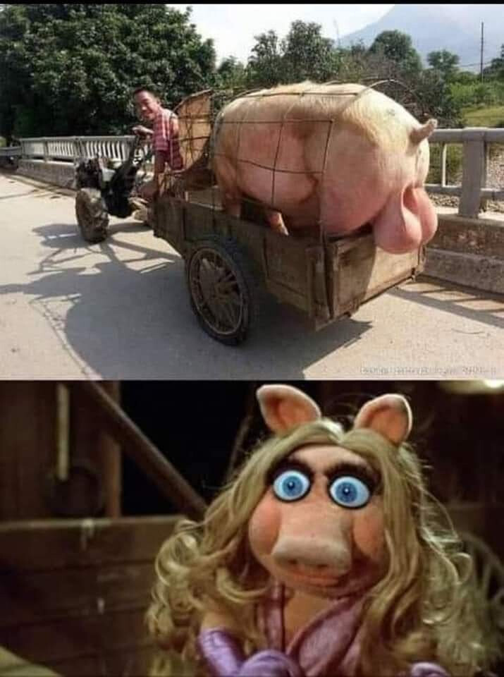 5696656.jpg 5696656.jpg