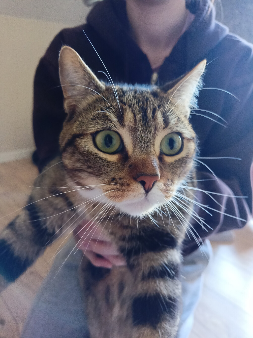 5696890.jpg 5696890.jpg