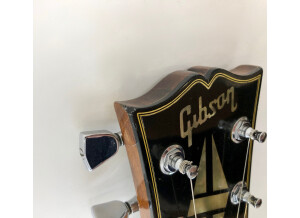 Gibson Les Paul Recording [1971-1980] (83928)