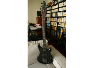 Westone Spectrum GT Bass
