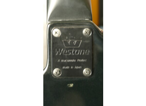 Westone Spectrum GT Bass