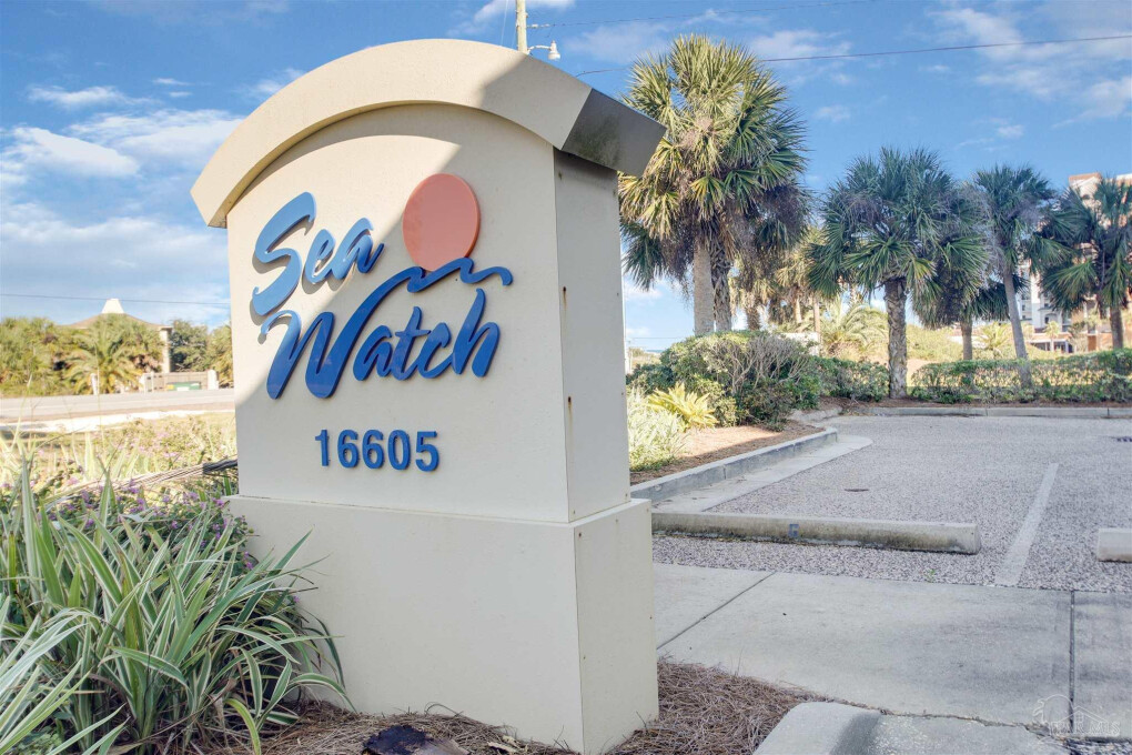 5699036.jpeg 5699036.jpeg