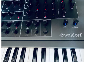 Waldorf Quantum (55106)