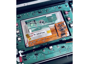 Waldorf Quantum (91854)