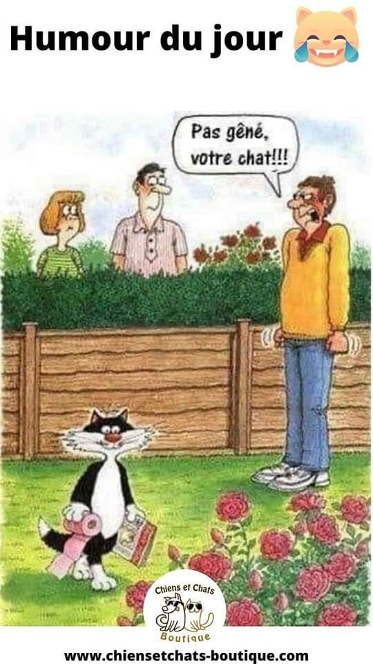 5699466.jpg 5699466.jpg