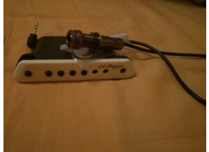 L.R. Baggs M1 (41096)