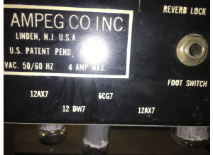 Ampeg V-4 (44247)