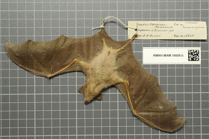 5701573.jpg 5701573.jpg