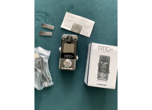 TC Electronic Ditto+ (26604)