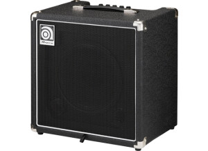 Ampeg BA-110 (97736)
