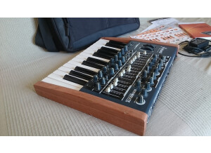 Arturia MiniBrute (48078)