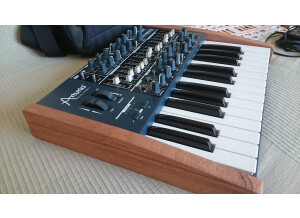 Arturia MiniBrute (11087)