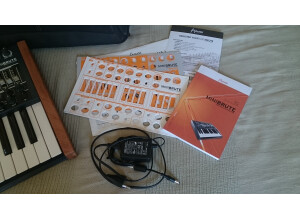 Arturia MiniBrute (33096)