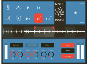 Molli Labs MolliLooper App