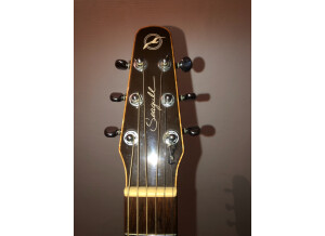 Seagull Performer CW Cedar GT QI (43355)