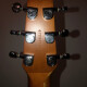 Performer CW Cedar GT QI Performer CW Cedar GT QI