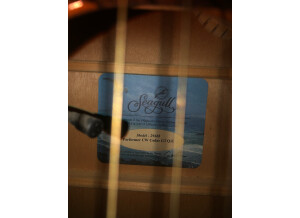 Seagull Performer CW Cedar GT QI (14460)