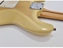 Fender Strat Plus Deluxe [1989-1999] (54913)
