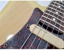Fender Strat Plus Deluxe [1989-1999] (49185)