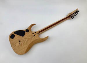 Ibanez RGDIX6MRW Iron Label (16159)