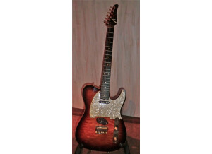 Tom Anderson HOLLOW T CLASSIC (28805)