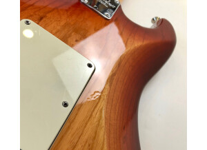 Fender American Standard Stratocaster [2008-2012] (44628)