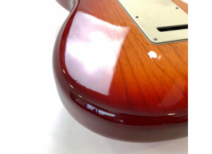 Fender American Standard Stratocaster [2008-2012] (1787)