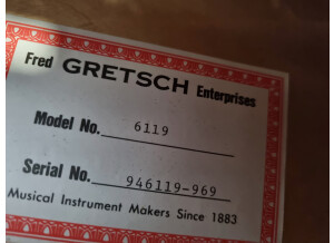 Gretsch G6119 Tennessee Rose (78959)
