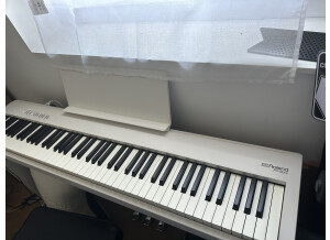 Roland FP-30X (13106)