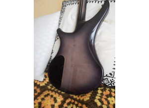 Vigier Passion III (95077)