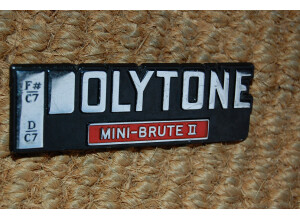 Polytone Mini Brute II (4523)