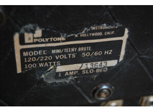 Polytone Mini Brute II (69257)