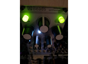 Mutable Instruments Beads (83911)