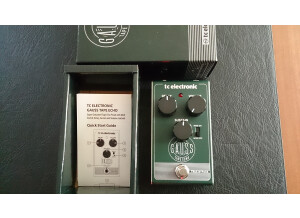 TC Electronic Gauss Tape Echo (1786)