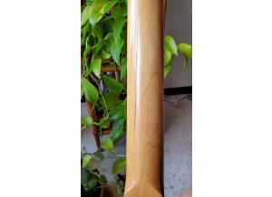 Young Chang Jazz Bass (7645)