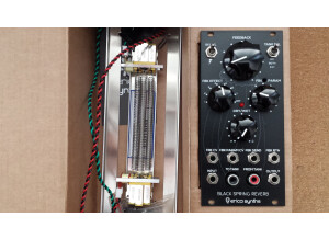 Erica Synths Black Spring Reverb (73853)