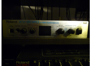 Roland JV-1010 (24607)
