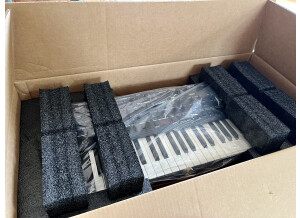 Dave Smith Instruments OB-6 (43264)