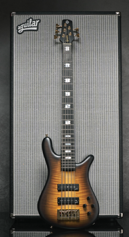 Spector Burst