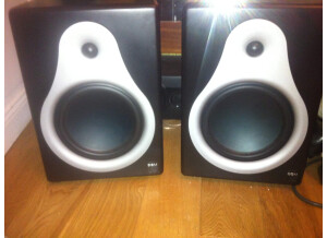 M-Audio DSM2 (42034)